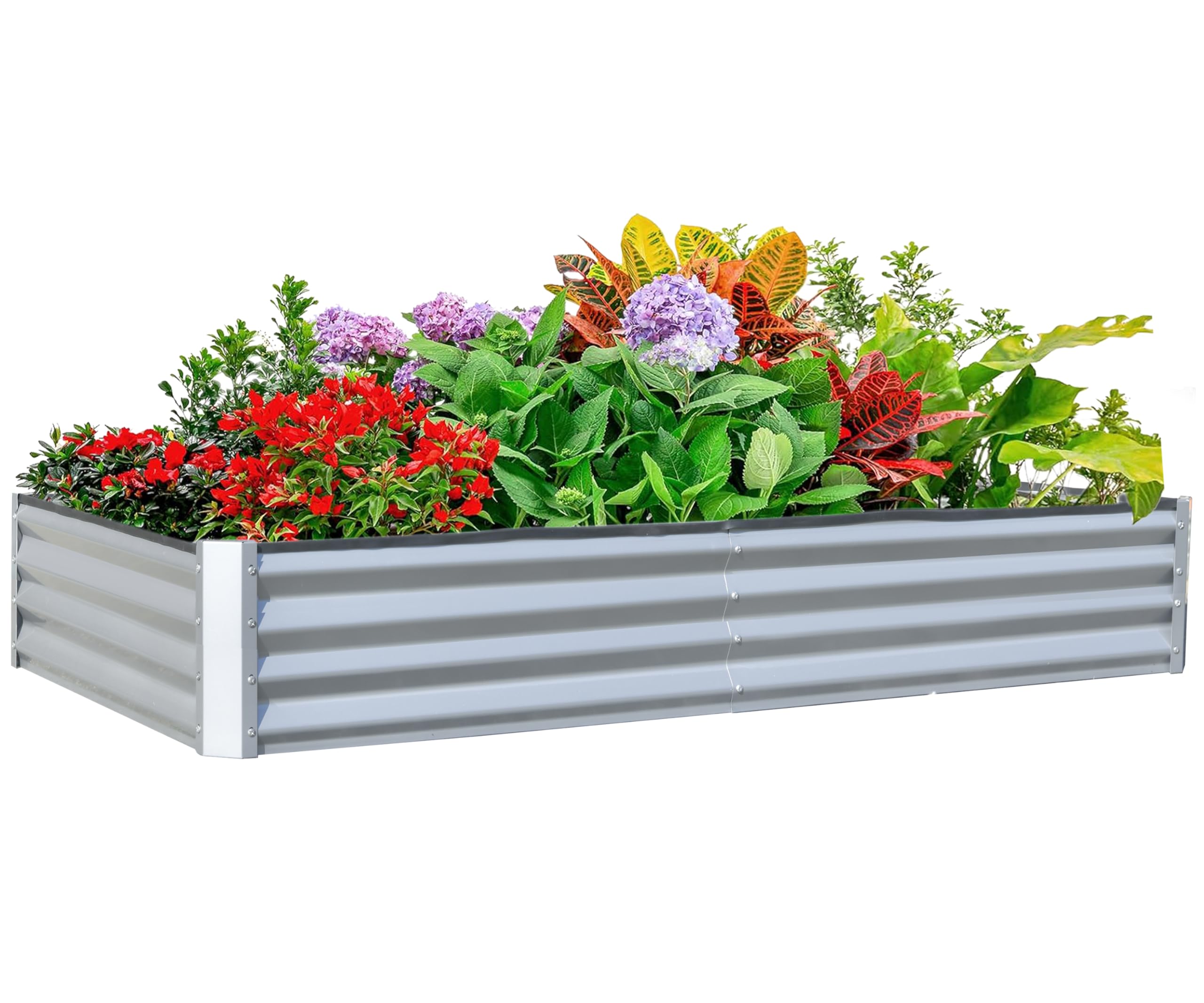 Planter Raised Metal - حوض زراعة مرتفع مجلفن 6×3×1 قدم،