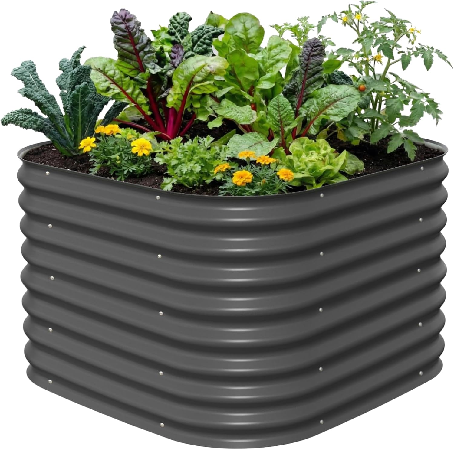 Planter Raised Metal - أحواض زراعة مرتفعة بطول 26 بوصة،