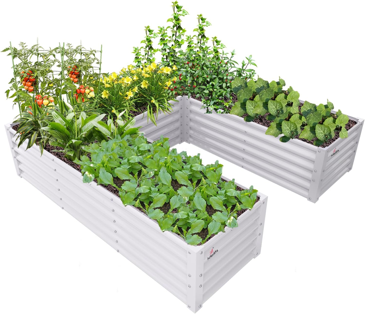 Planter Raised Metal - حوض زراعة معدني مجلفن على شكل