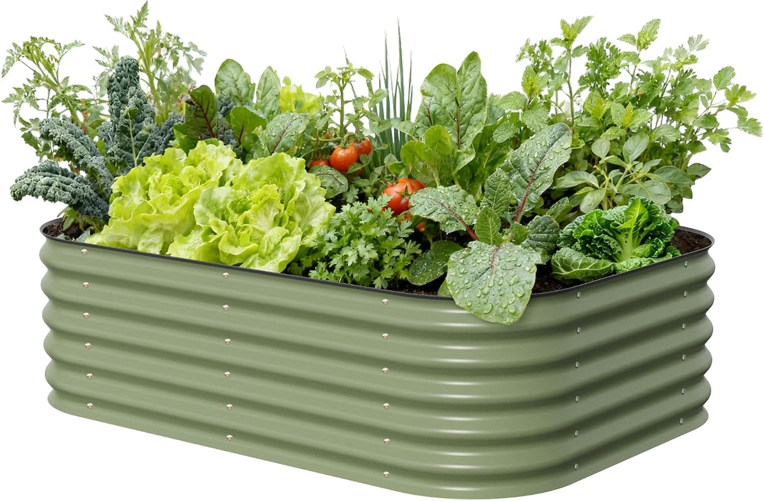 Planter Raised Metal - حوض زراعة معدني مرتفع متعدد الاستخدامات