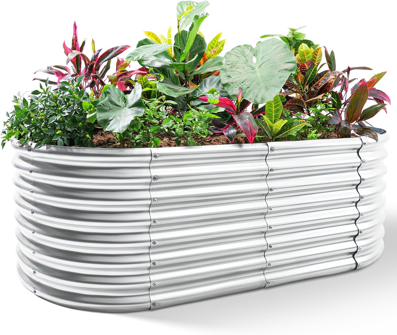 Planter Raised Metal - حوض زراعة مرتفع مجلفن، صناديق زراعة