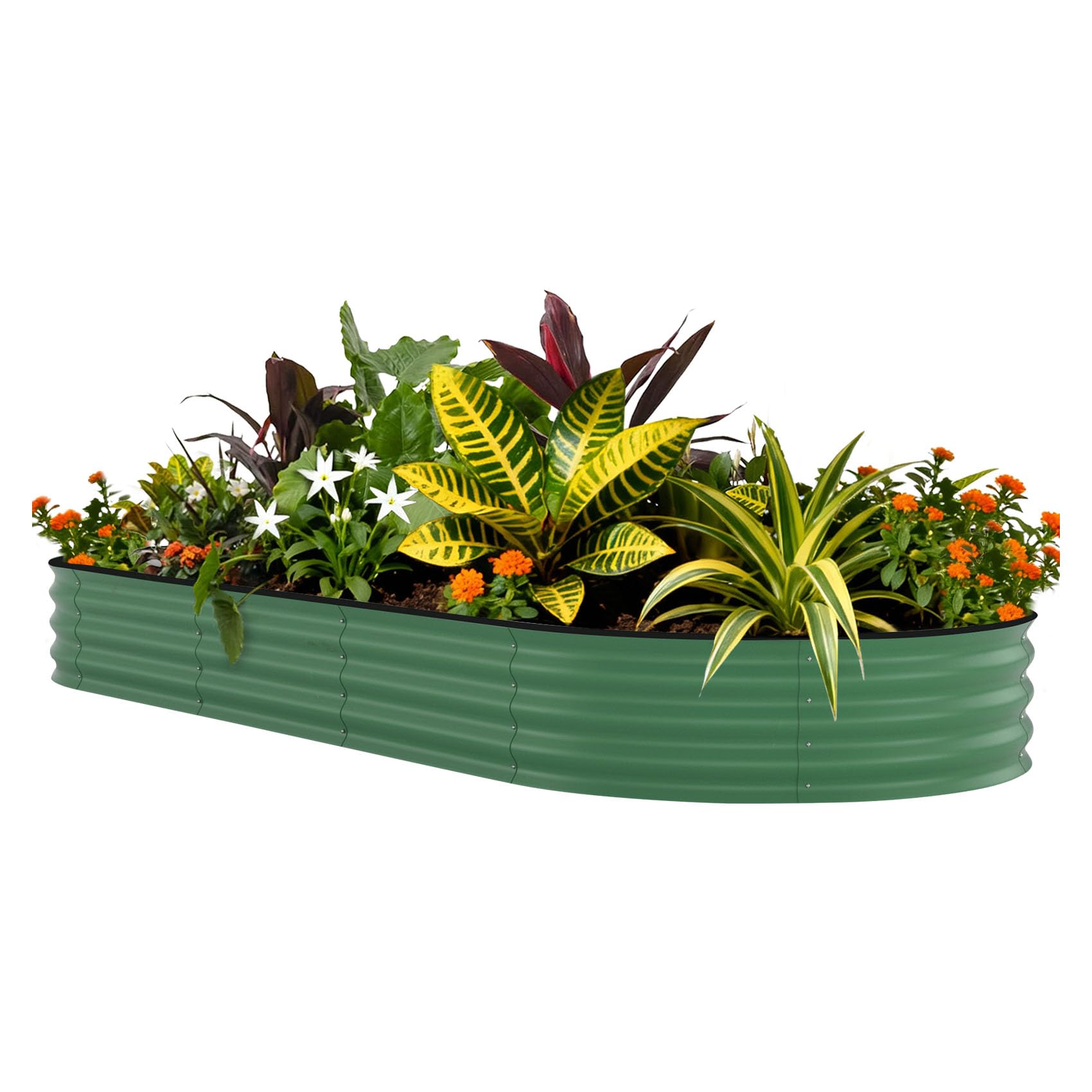 Planter Raised Metal - حوض زراعة مرتفع مجلفن مقاس 8×4×1.5