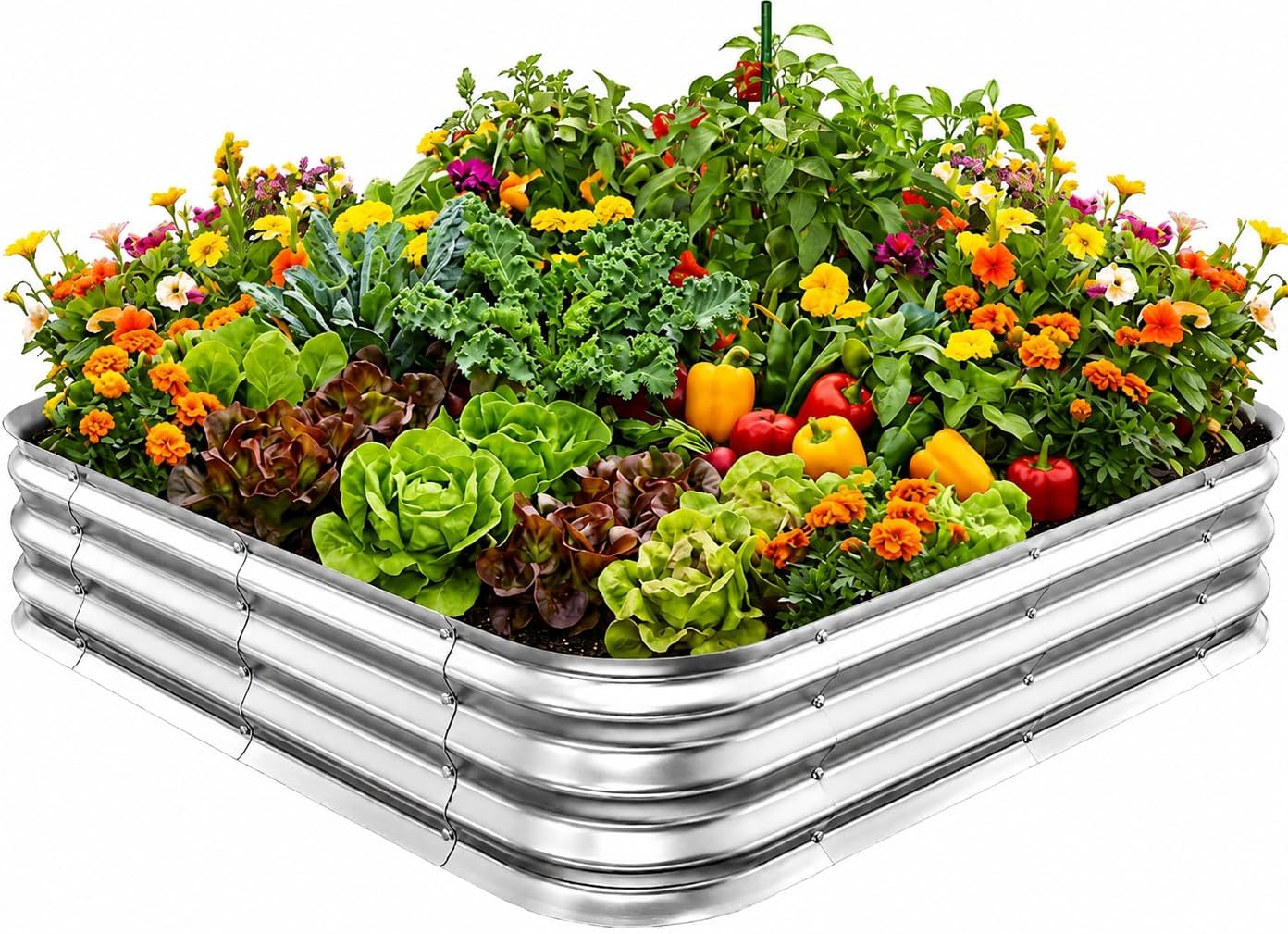 Planter Raised Metal - حوض زراعة مربع مجلفن 4×4 قدم
