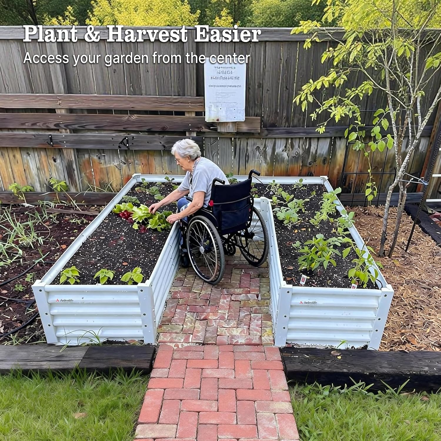 حوض زراعة معدني مجلفن على شكل  - مراجعة Planter Raised Metal وسعره