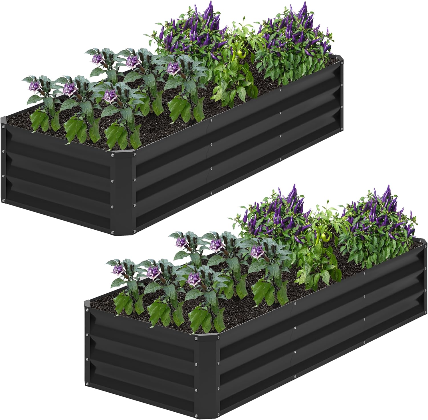 حوض زراعة مرتفع مجلفن 6×2×1 قد - مراجعة Planter Raised Metal وسعره