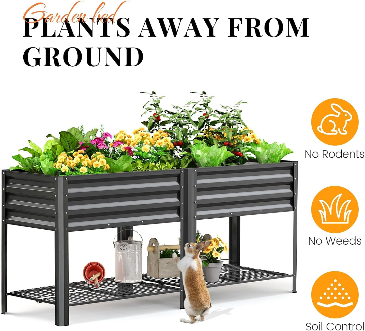 حوض زراعة مرتفع مجلفن مع أرجل  - مراجعة Planter Raised Metal وسعره
